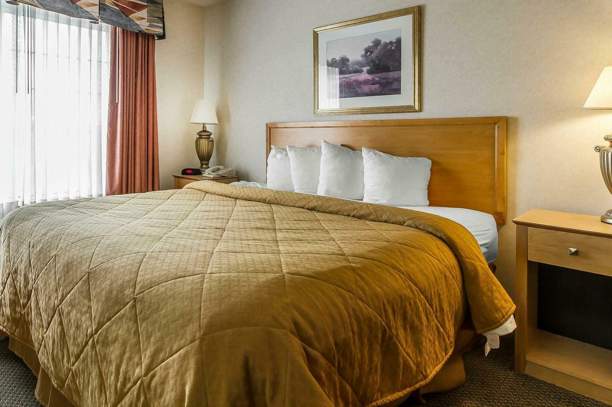 Quality Inn & Suites Lodi I-90 מראה חיצוני תמונה